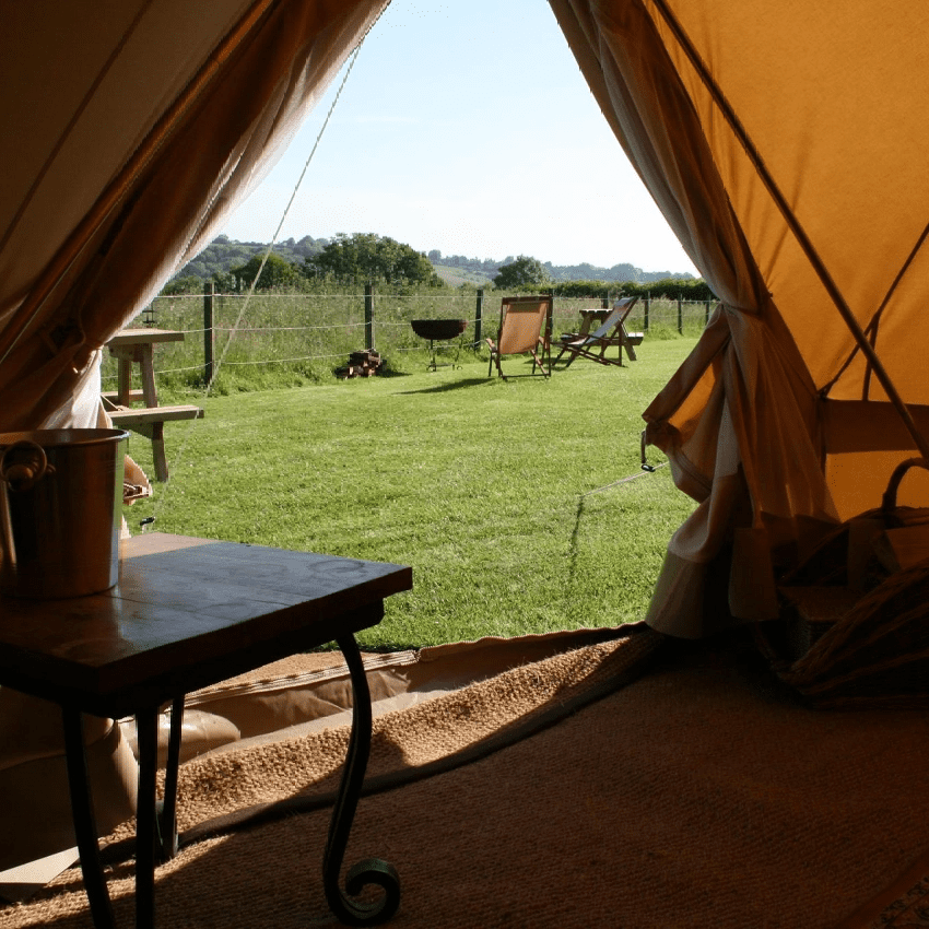 View from inside a tent looking out over a sunny grassy campsite with folding chairs and a central fire pit.
