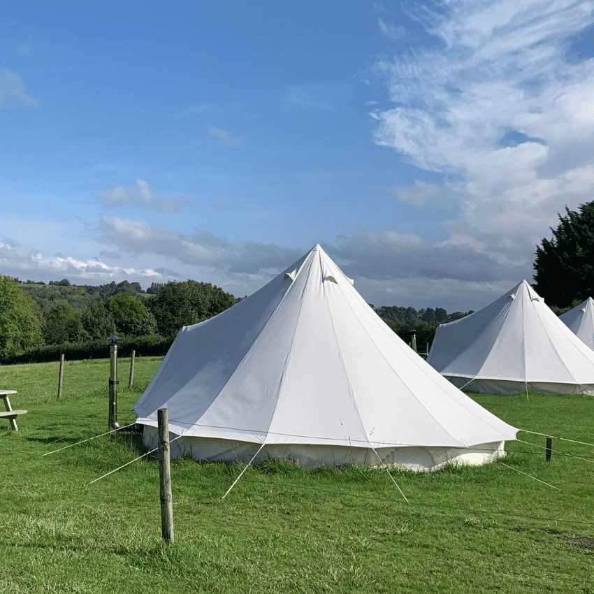 White canvas tents pitched on a grassy field with a blue sky and distant trees.