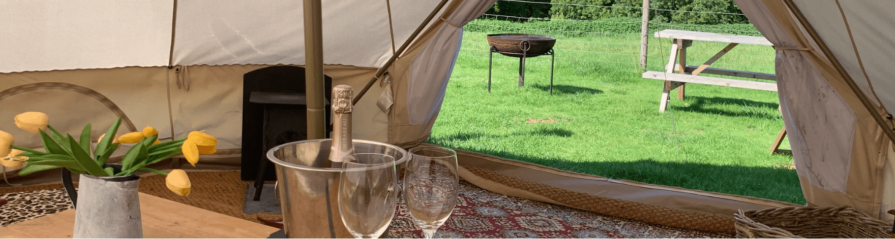 interior of glamping tent with two wine glasses, a champagne bottle on ice, lilies in a metal jug, and a view through the entrance of a wooden bench and fire pit on grass