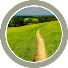 A winding dirt path runs through a green grassy field with distant trees under a blue sky.